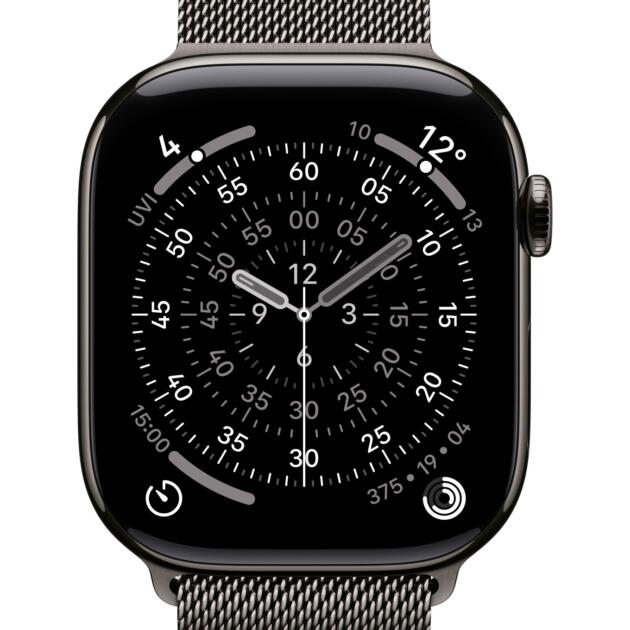 Apple MGJ64ZM/A Smart Wearable Accessories Band Slate colour Stainless steel