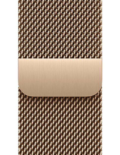 Apple MGJ04ZM/A Smart Wearable Accessories Band Gold Stainless steel