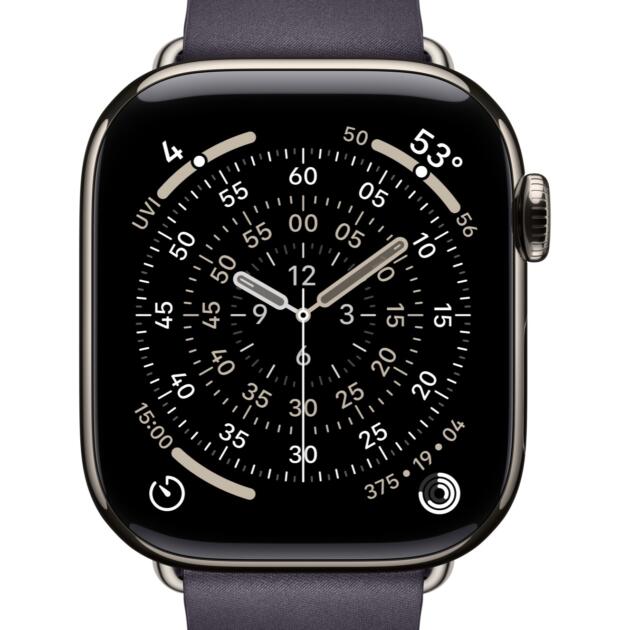 Apple 42mm Midnight Purple Modern Buckle - Medium