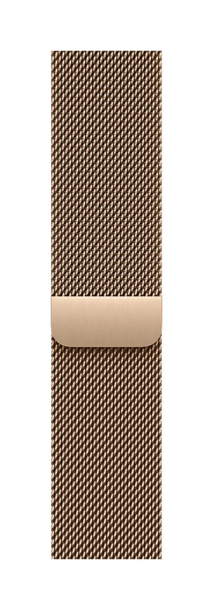 Apple MGHW4ZM/A Smart Wearable Accessories Band Gold Stainless steel