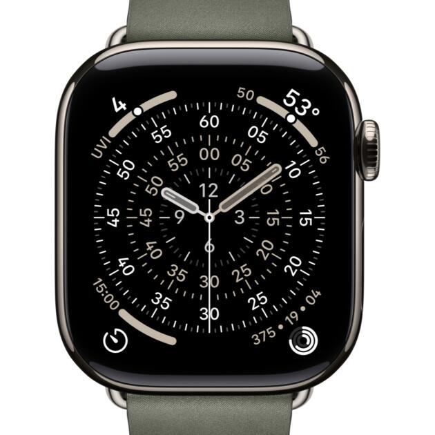 Apple 42mm Sage Grey Modern Buckle - Large