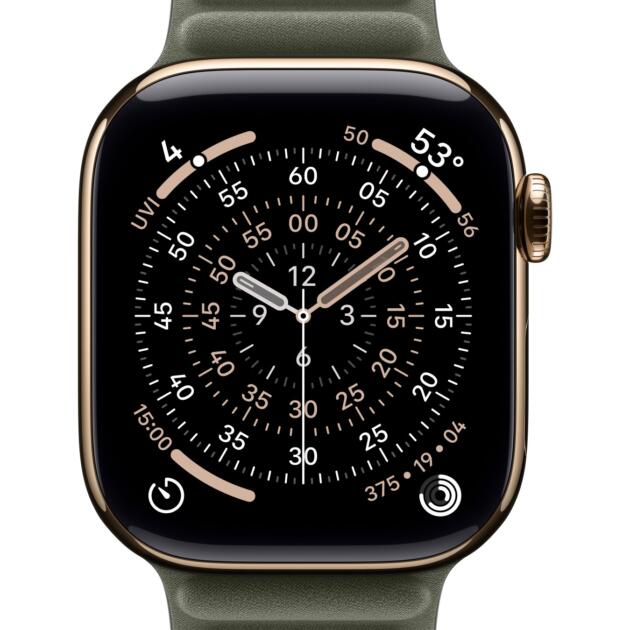 Apple 42mm Sage Grey Magnetic Link - S/M