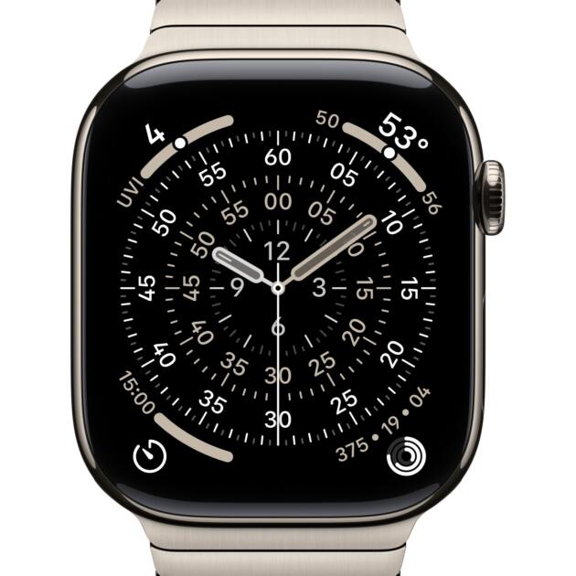 Apple 46mm Natural Link Bracelet