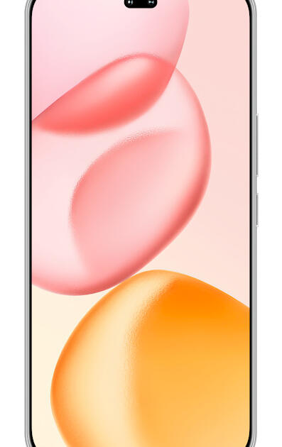 Honor 400 Pro 17 cm (6.7") MagicOS 9.0 5G 12 GB 512 GB 5300 mAh Grey
