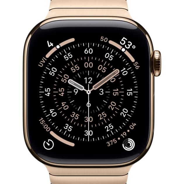 Apple 42mm Gold Link Bracelet